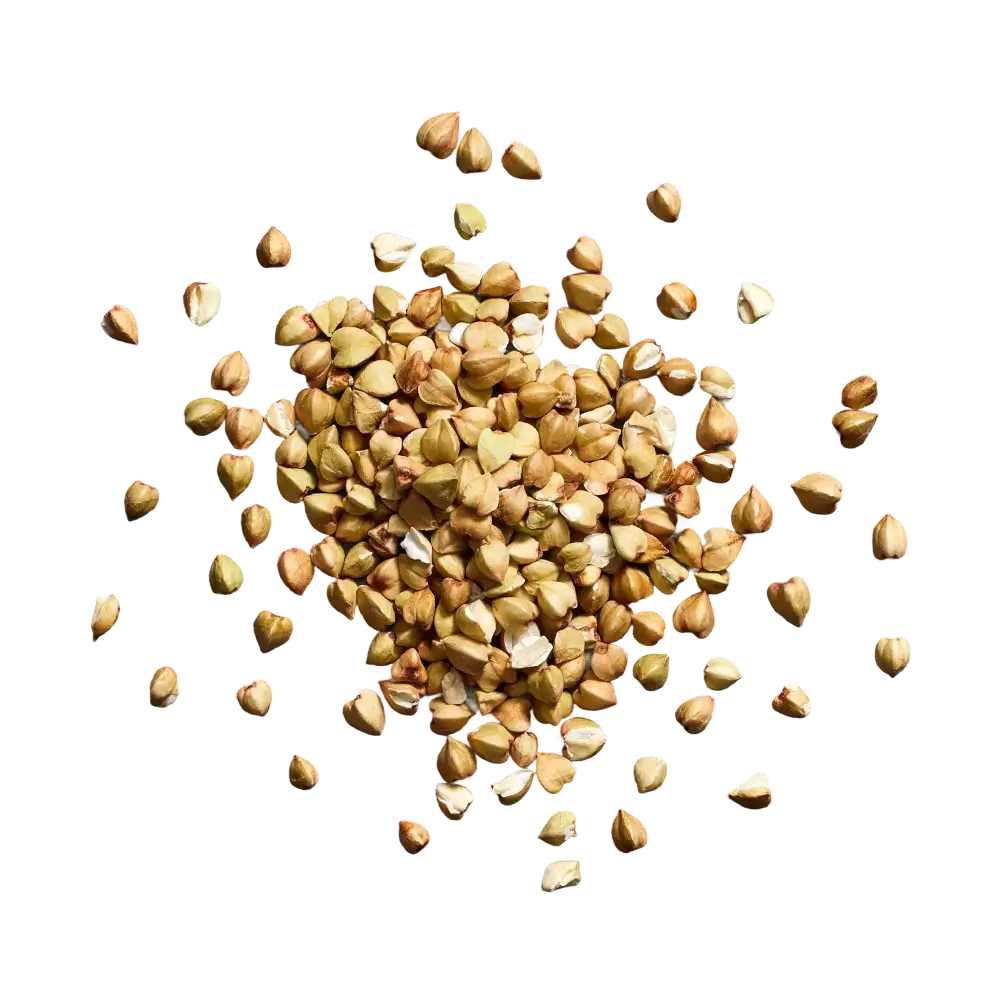 Buckwheats scattered on a white background