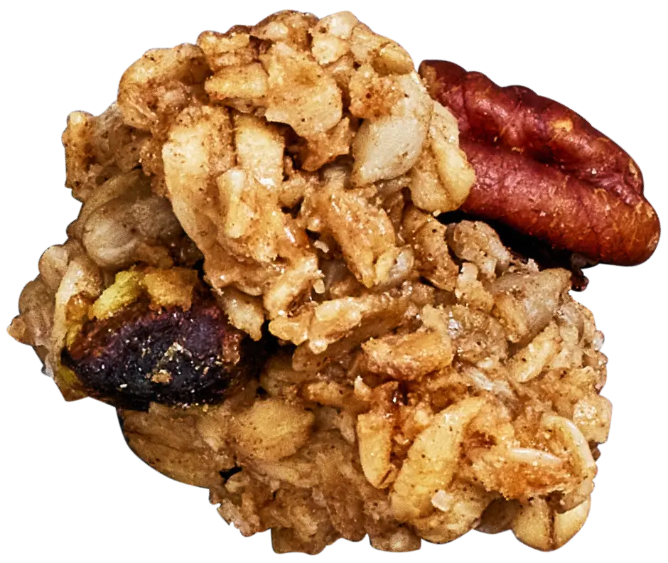 Michele's Granola crumble close-up
