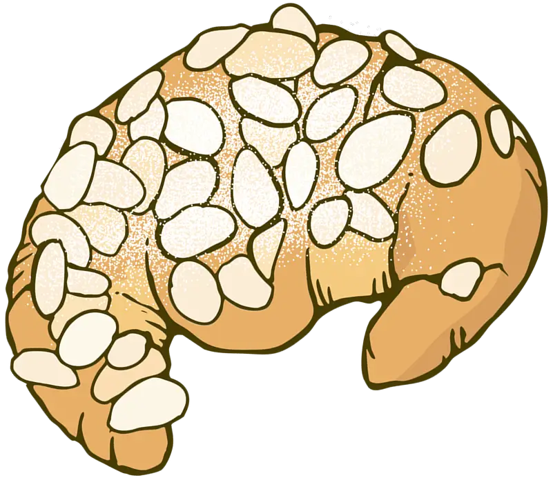 Illustration of Croissant