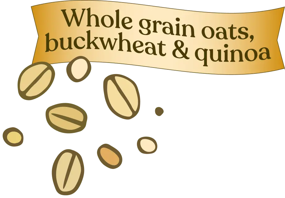 Illustration of whole grain oats, buckwheat, and quinoa with text