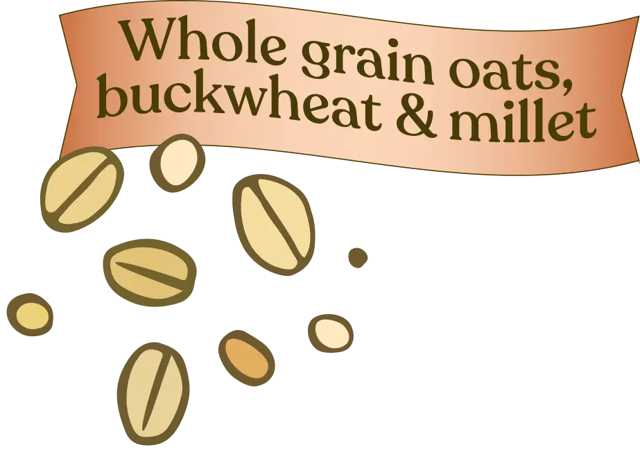 Illustration of whole grain oats, buckwheat, and millet with a banner above them.