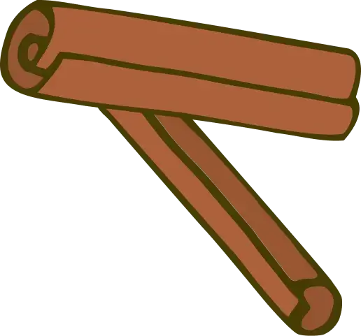 Two cinnamon sticks