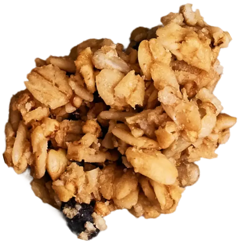 Michele's Granola crumble close-up