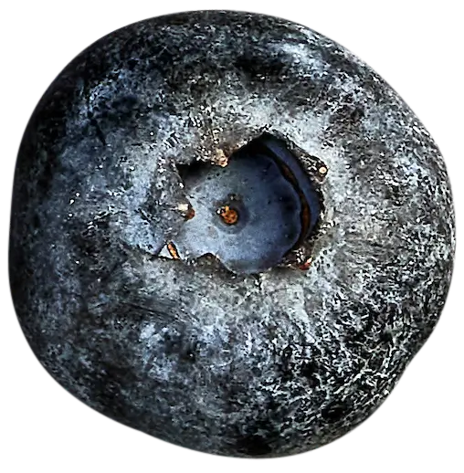 Close-up of a blueberry
