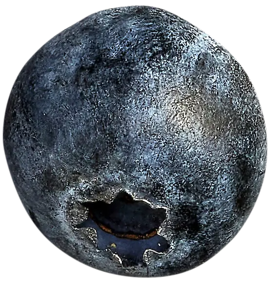 Close-up of a blueberry