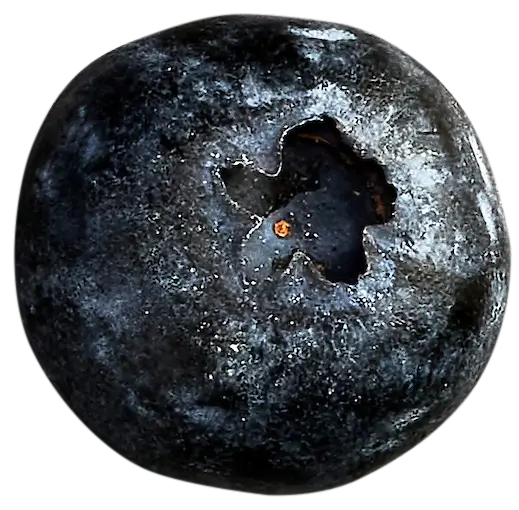 Close-up of a blueberry
