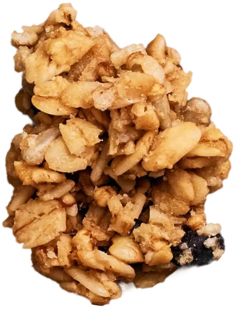 Michele's Granola crumble close-up