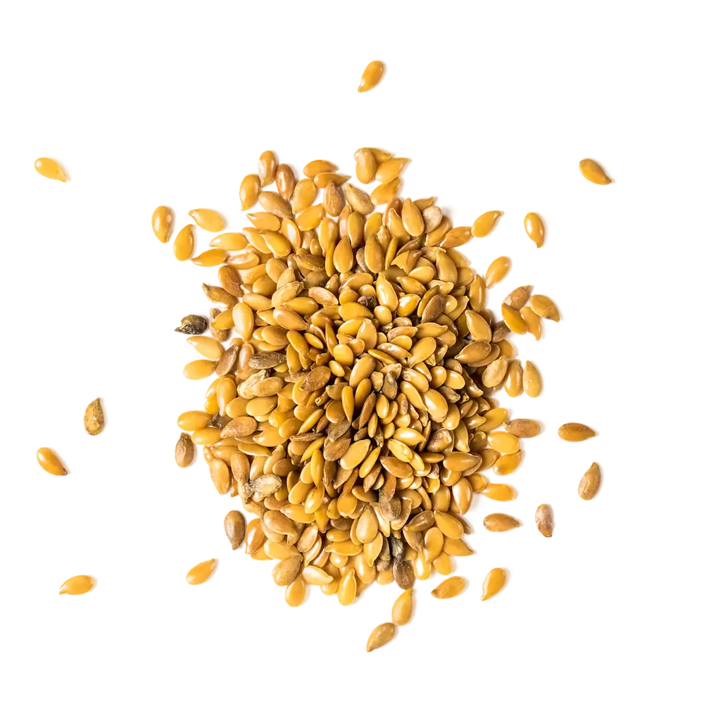 Pile of organic flax seeds