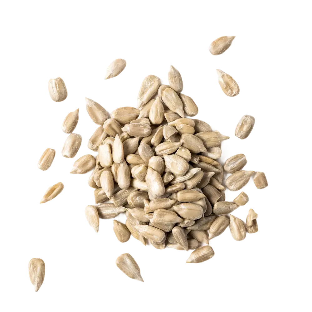 Pile of sunflower seeds