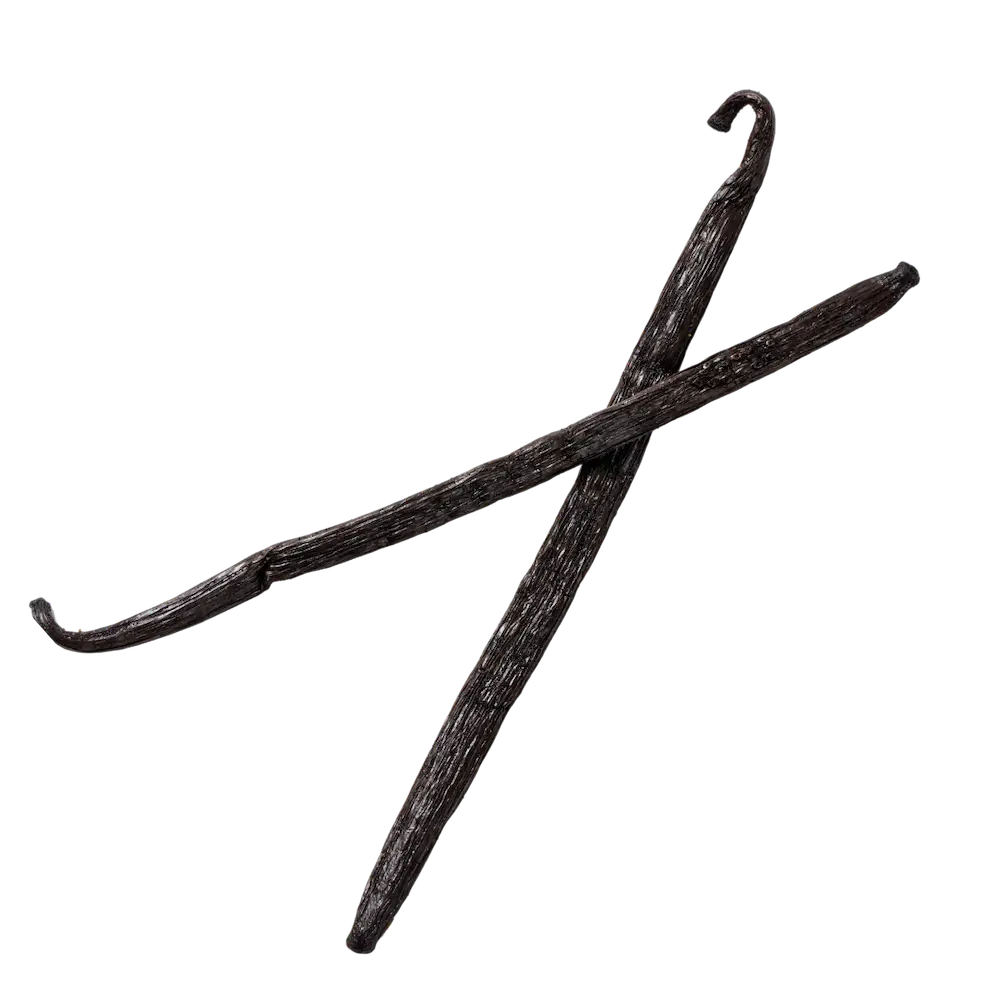 Two vanilla beans crossing each other